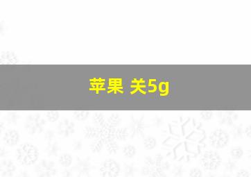 苹果 关5g